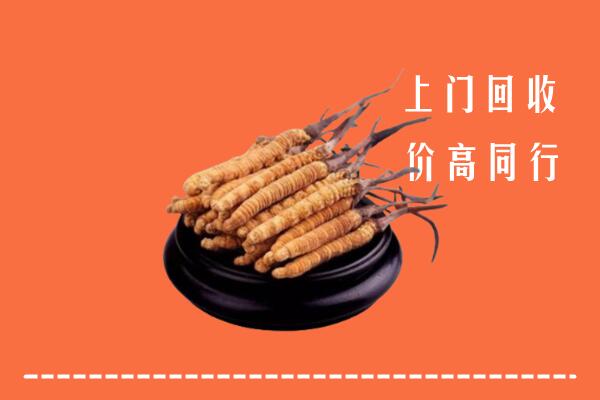 高价求购：荥经县回收散虫草